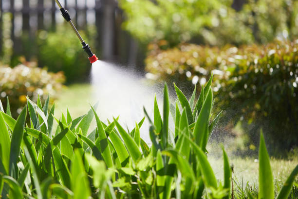 24/7 Emergency Fumigation Services experts in West Union, OH